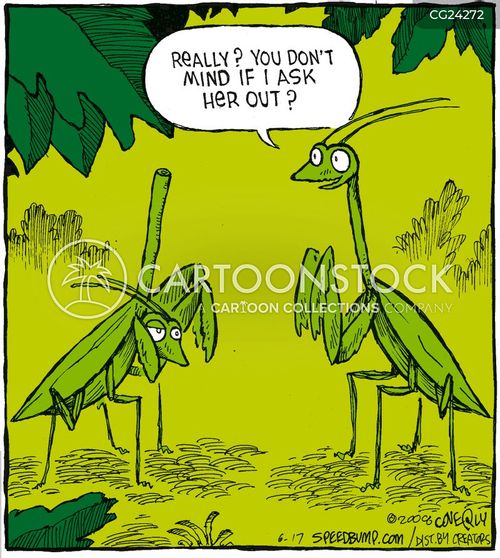 Really Cartoons and Comics - funny pictures from CartoonStock