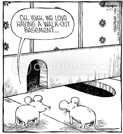 Stuck In Doors Cartoons and Comics - funny pictures from CartoonStock