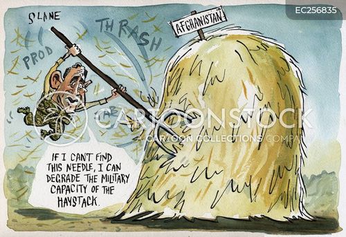 Needle In A Haystack Cartoons and Comics - funny pictures from CartoonStock