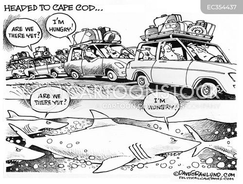 Ocean Swimming Cartoons and Comics - funny pictures from CartoonStock