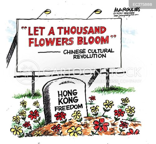 Democratic Government Cartoons and Comics - funny pictures from ...