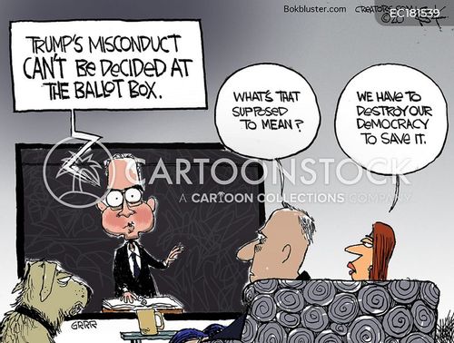 Democracy Saved Cartoons and Comics - funny pictures from CartoonStock