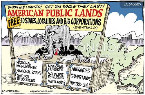 cartoon land conservation