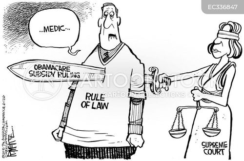 Legislation Interpretation Cartoons and Comics - funny pictures from ...
