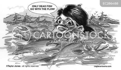The Funny Side of Salmon Fishing: Bewick, Bill: 9781872010106