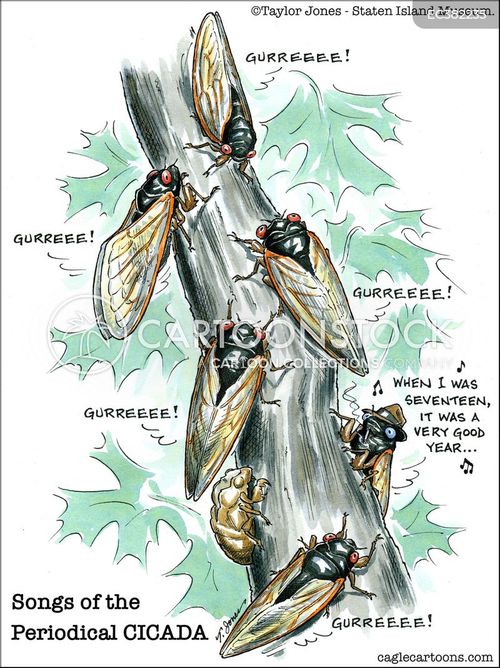 Periodical Cicadas Cartoons And Comics Funny Pictures From Cartoonstock 