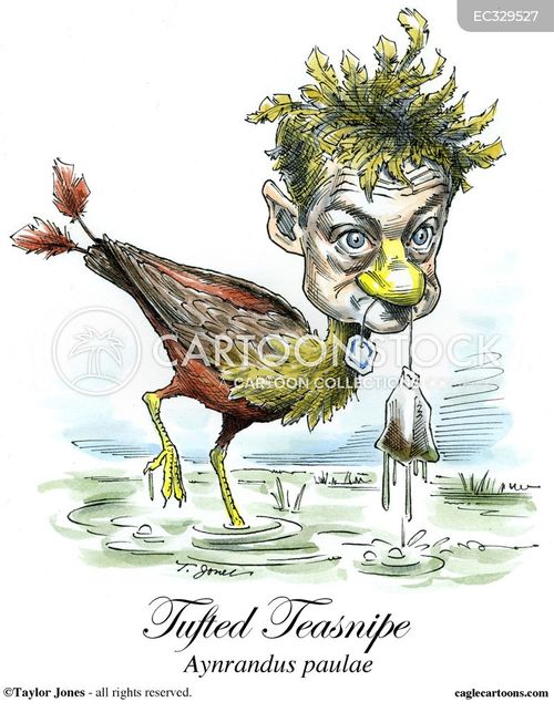 Birds Of A Feather Cartoons and Comics - funny pictures from CartoonStock