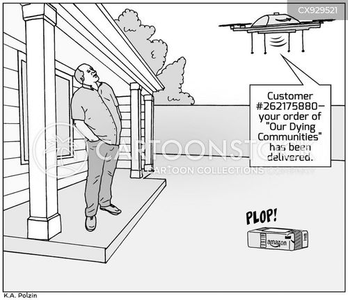 Final Decision: Virtual Cart to Doorstep