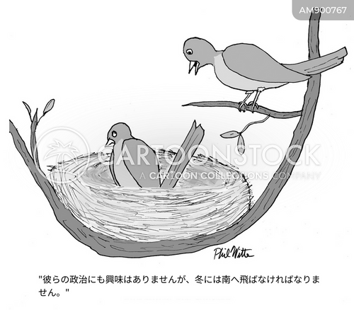 鳥類学の研究 のイラスト