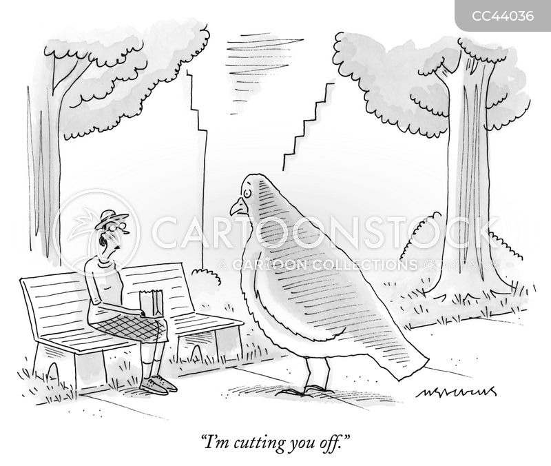 https://images.cartoonstock.com/lowres_800/animals-birds-pigeons-park-overfeeding-animals-CC44036_low.jpg