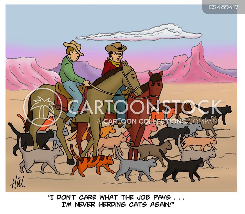 https://images.cartoonstock.com/lowres_800/animals-cowboy-herd-cat-felines-cat_owners-dhgn1828_low.jpg