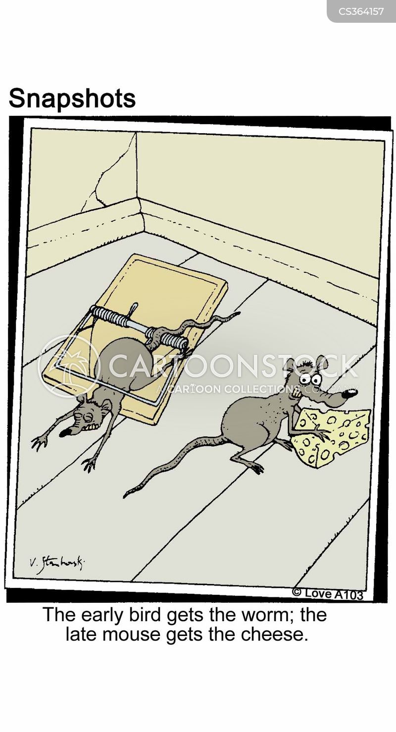 https://images.cartoonstock.com/lowres_800/animals-mouse-mouses-rats-mouse_traps-mousetraps-jlvn958_low.jpg