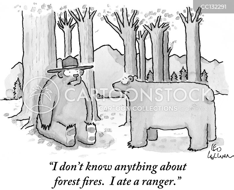 https://images.cartoonstock.com/lowres_800/smokey_bear-forest_fire-prevent-prevention-fires-animals-CC132291_low.jpg