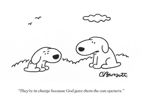 "They're in charge because God gave them more can openers."