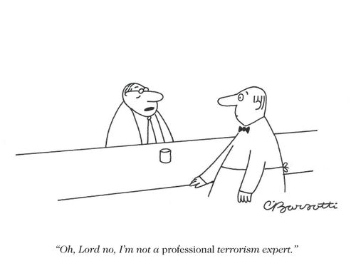 "Oh, Lord no, I'm not a professional terrorism expert."