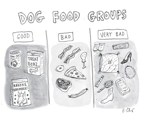 Dog Food Groups