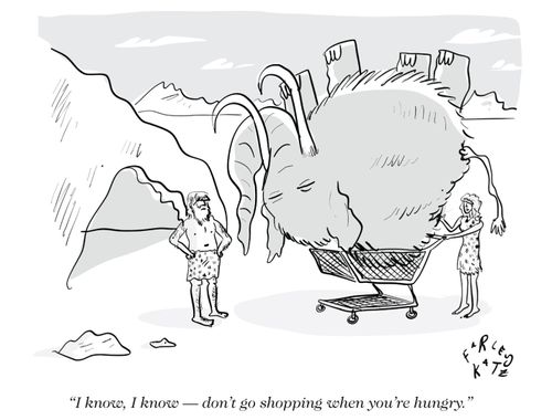 "I know, I know - don't go shopping when you're hungry."