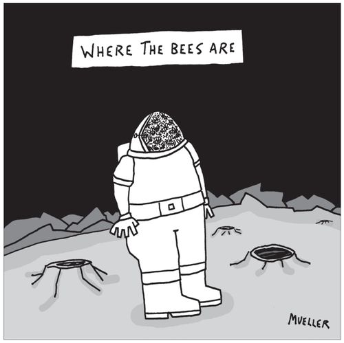 Where The Bees Are