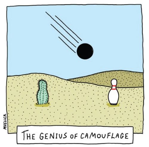 The Genius Of Camoflage