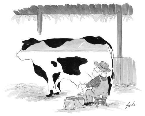 Farmer Milks The White Out Of The Cow