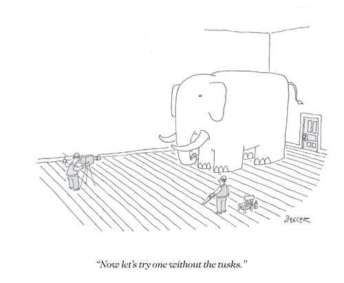 "now let's try one without the tusks."