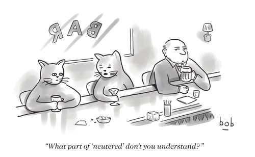 "What part of 'neutered' don't you understand?"