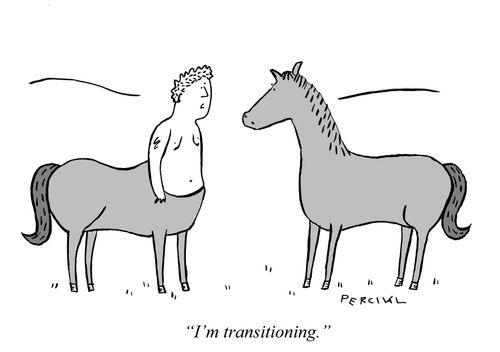 "I'm transitioning."
