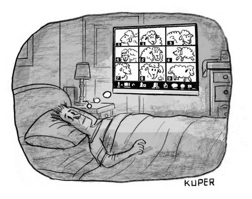 Zoom Counting Sheep