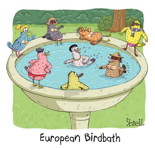 European Birdbath