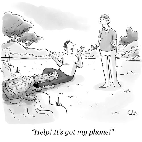 "Help! It's got my phone!"