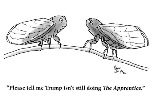 "Please tell me Trump isn't still doing The Apprentice."