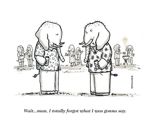 "Wait. . . man, I totally forgot what I was gonna say."