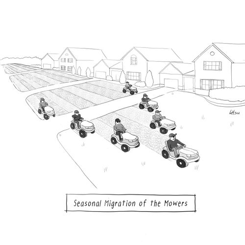 Seasonal Migration of the Mowers