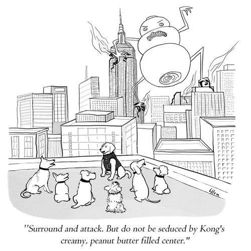 "Surround and attack. But do not be seduced by Kong's creamy, peanut butter filled center."