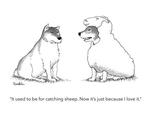 "It used to be for catching sheep. Now it's just because I love it."