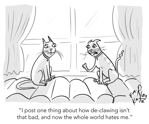"I post one thing about how de-clawing isn't that bad, and now the whole world hates me."