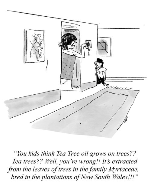 "You kids think Tea Tree oil grows on trees?? Tea trees?? Well, you're wrong!! It's extracted from the leaves of trees in the family myrtaceae, bred in the plantations of New South Wales!!!"