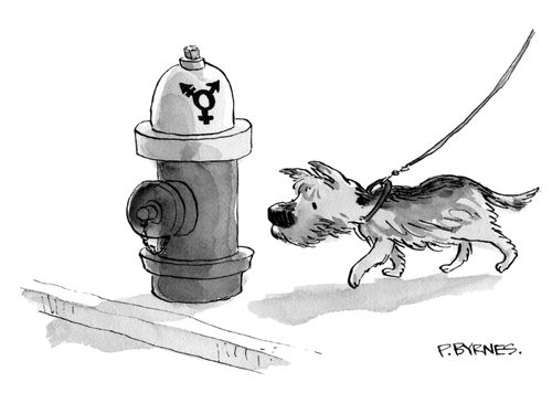 A dog sniffs a fire hydrant with a transgender symbol 