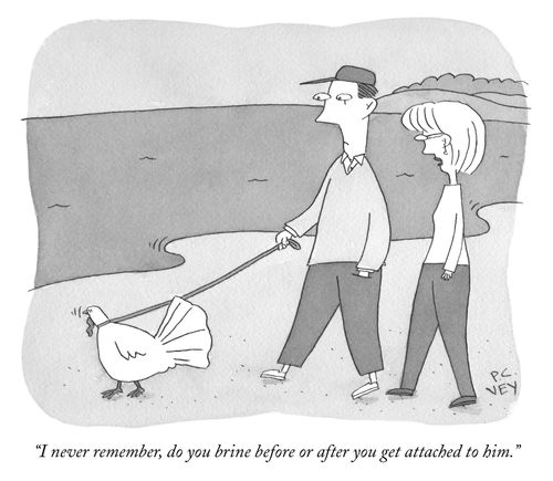 "I never remember, do you brine before or after you get attached to him."