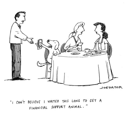 "I can't believe I waited this long to get a financial support animal."