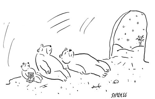 Three bears hibernating