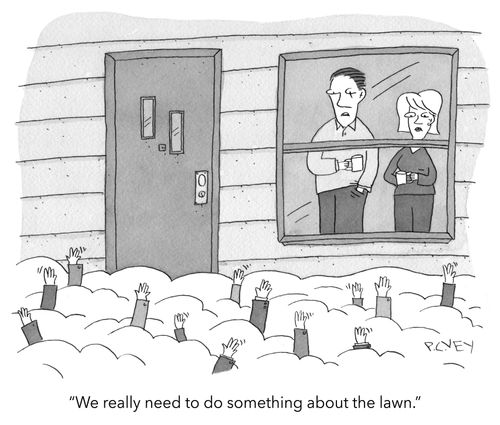 "We really need to do something about the lawn."
