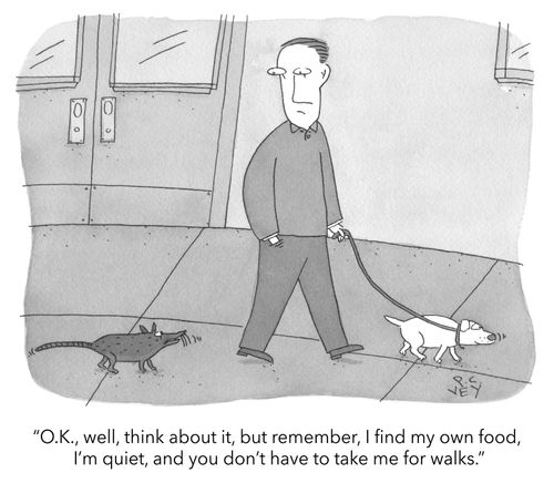 "O.K., well, think about it, but remember, I find my own food, I'm quiet, and you don't have to take me for walks."