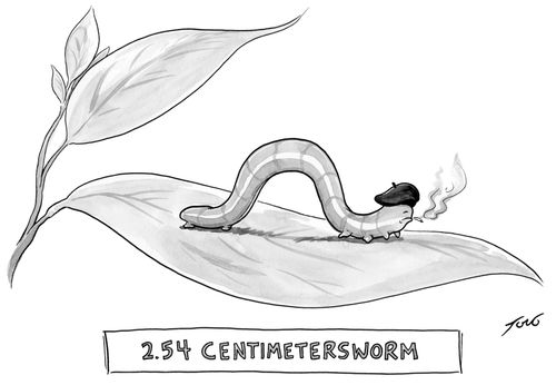 2.54 Centimetersworm
