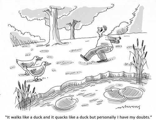 "It walks like a duck and quacks like a duck but personally I have my doubts."