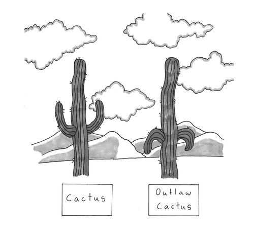 Cactus