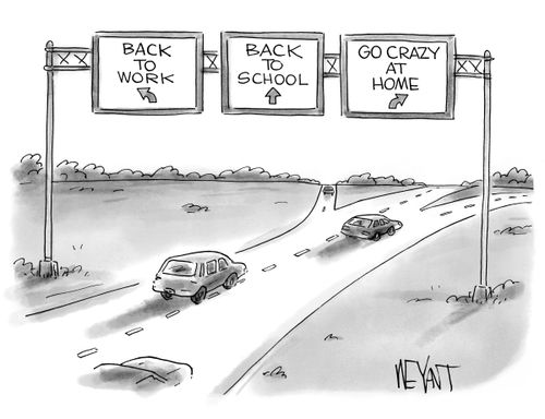 Road signs reading 'back to work', 'back to school' and 'go crazy at home'.