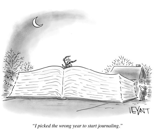 "I picked the wrong year to start journaling."