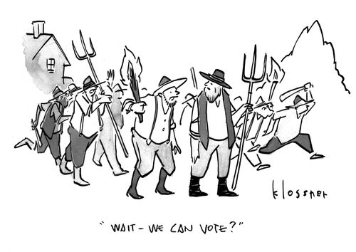 "Wait - we can vote?"