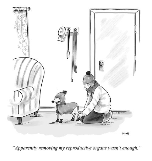 "Apparently removing my reproductive organs wasn't enough."